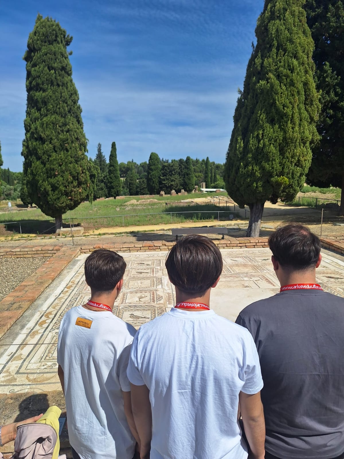 Visitas guiadas en Itálica