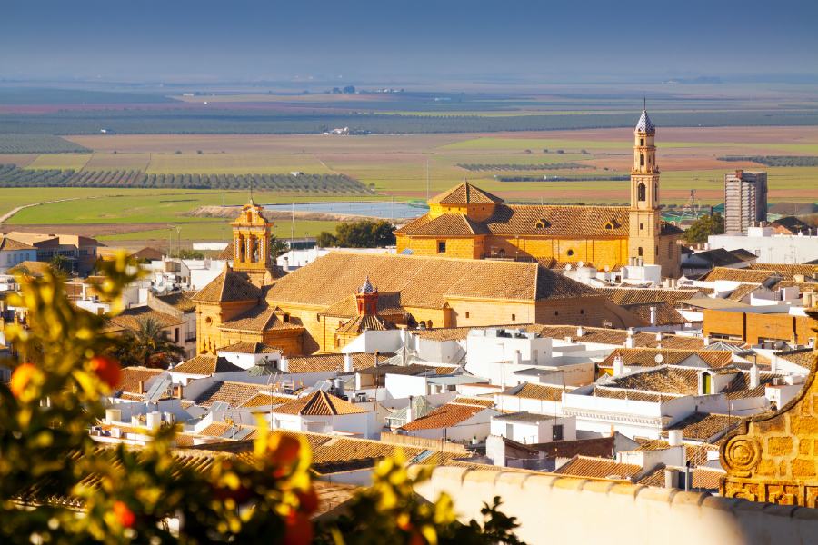 Visitas guiadas en Osuna